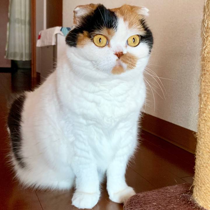 079e88be 452f 46ce a882 8925019ca6ae 1564696017640