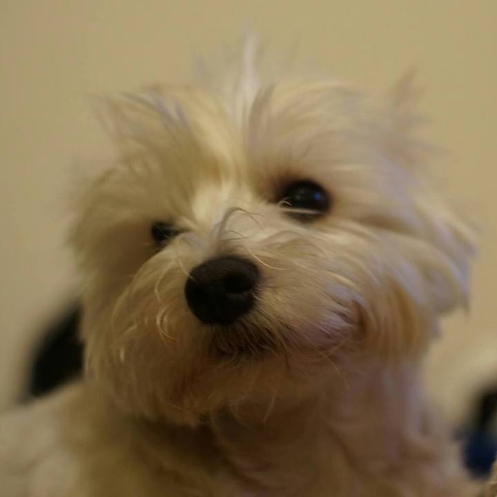 079ea523 e27f 4d73 b972 6d1366b40dd1 1517179801903