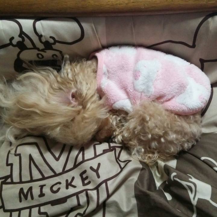 079ed3b1 5152 4d09 a775 e99fe452830b 1547557777558