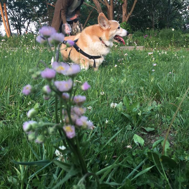 079edbb7 0525 460a b507 2536eeb0f80d 1586992029433