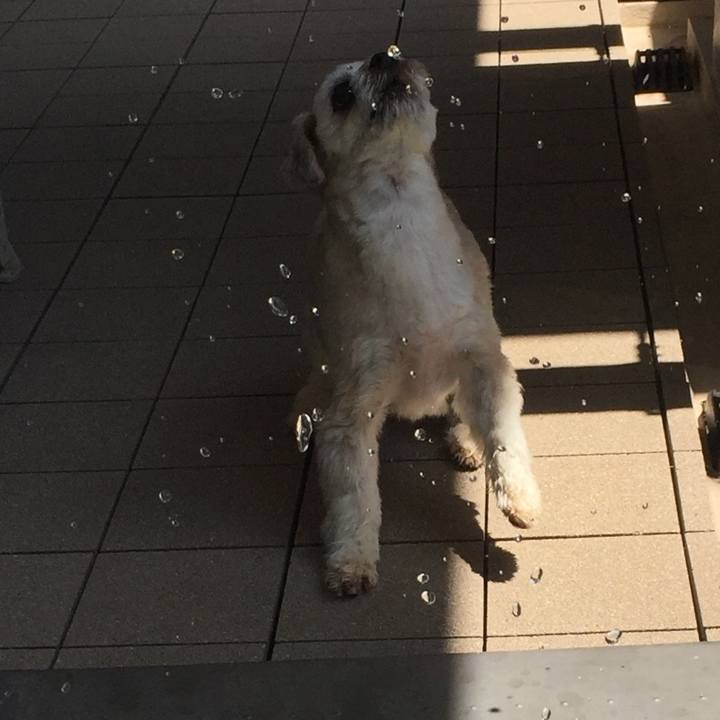 079ee446 1c93 4e17 9ef6 2371ae28acf0 1565686094953