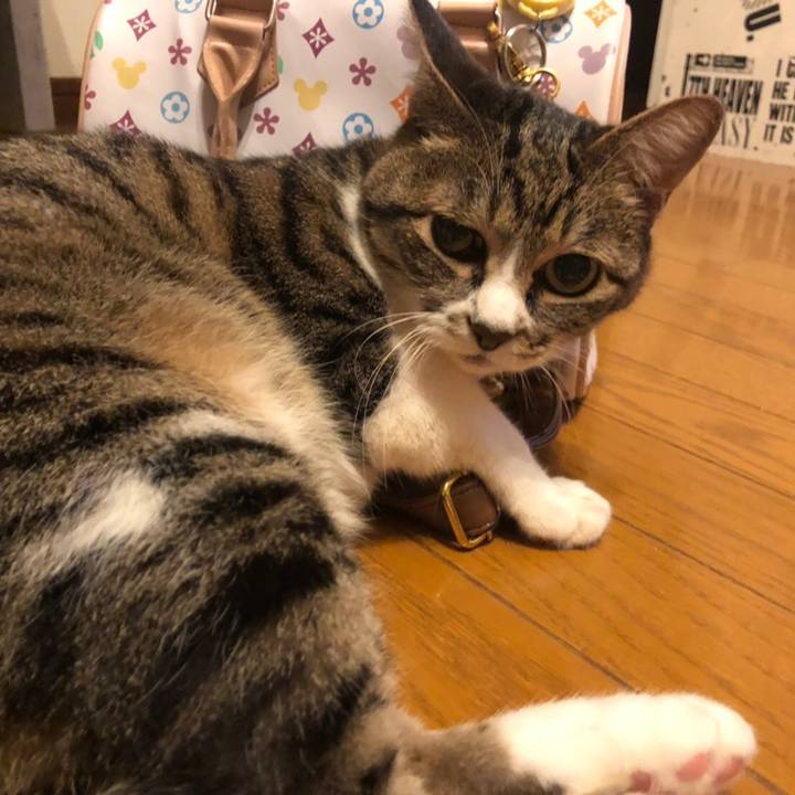 079ee81c b5af 4e78 b7db fb553c47ae83 1561215687793