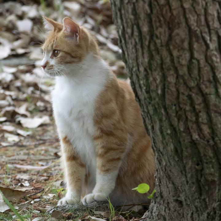 079efd35 88bb 4fe4 835e a62bc2941e66 1556072462180