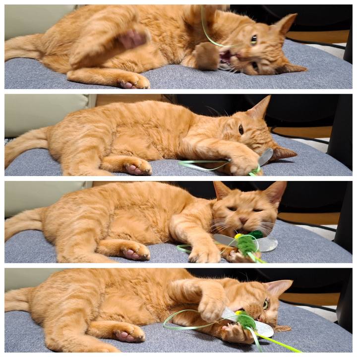 079f1903 fcd8 4bdc 8bf5 0b62d342fe1c 1736322538964