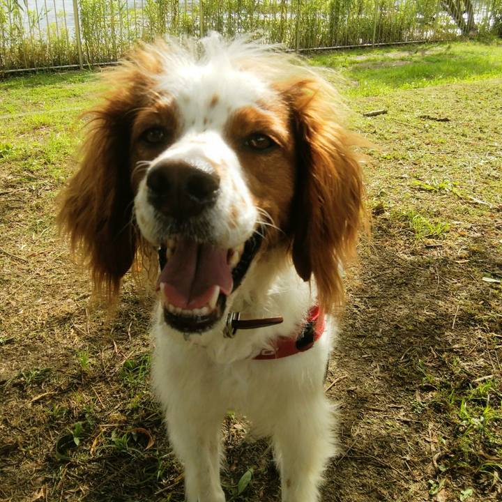 079f1ca3 85d2 41d5 84ba c64f95af66f3 1534822061522