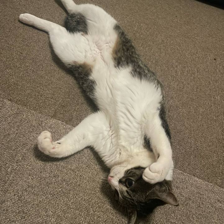 079f2e1a f09c 469b 81c1 21bb3f832d26 1739404894826