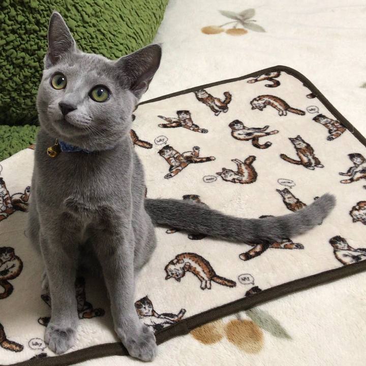 079f4858 e9c6 4274 a06c 4b6f89d31d02 1508504921232