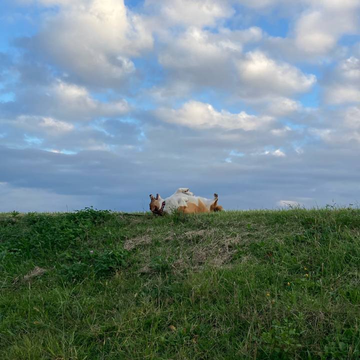 079f5859 fe8d 44d9 8a3c b34da3b5d72b 1665821756891