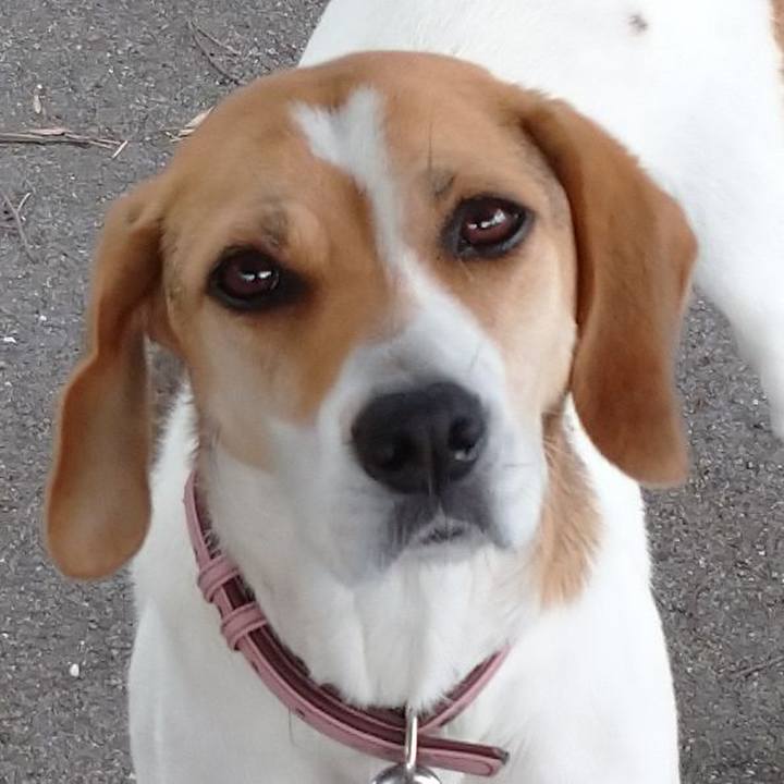 079fa3e2 3491 4180 9350 1d82b09867a1 1594903578122