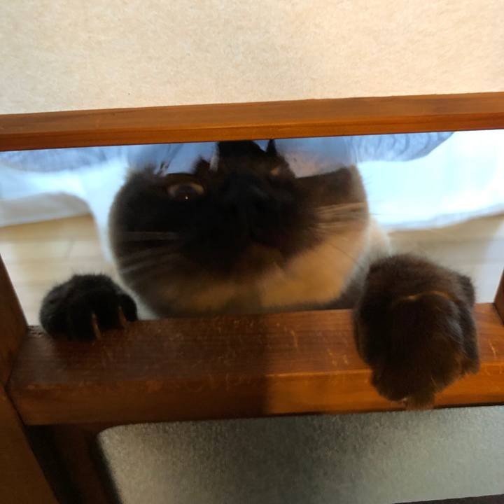 079faaa1 6c4f 4528 a5aa a3aff0d75d40 1619403399047