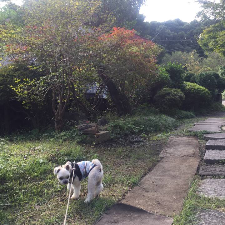 07a000b8 3c0f 4f30 b04a 165f50a5e6aa 1537689180470