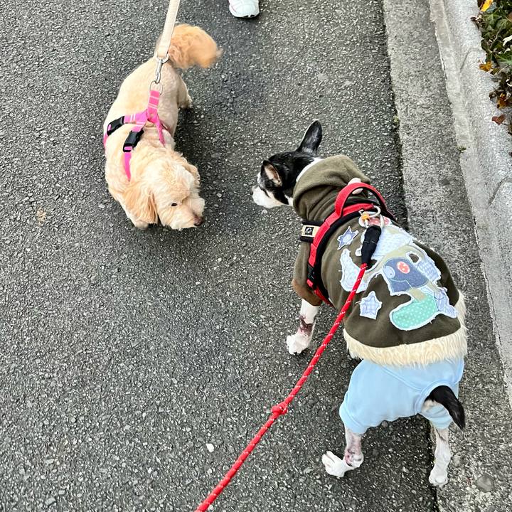 07a02250 d8c3 439c 8e6e 7bd7742e39a6 1646343487862