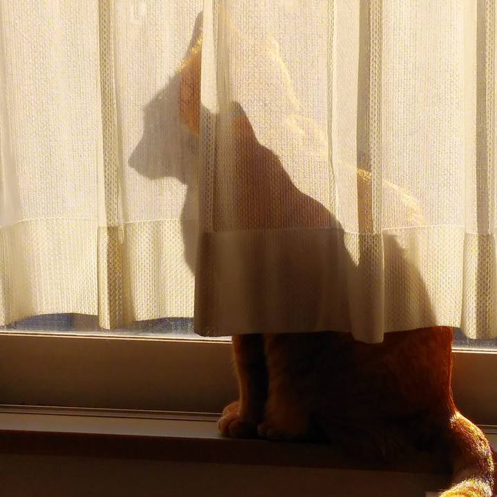 07a06ae0 d303 4c5a 8aac 470beaadcc65 1581333098167