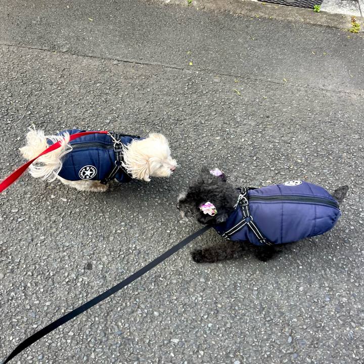 07a09109 51cb 4b2a b3bd 5a83b2585378 1769073671755