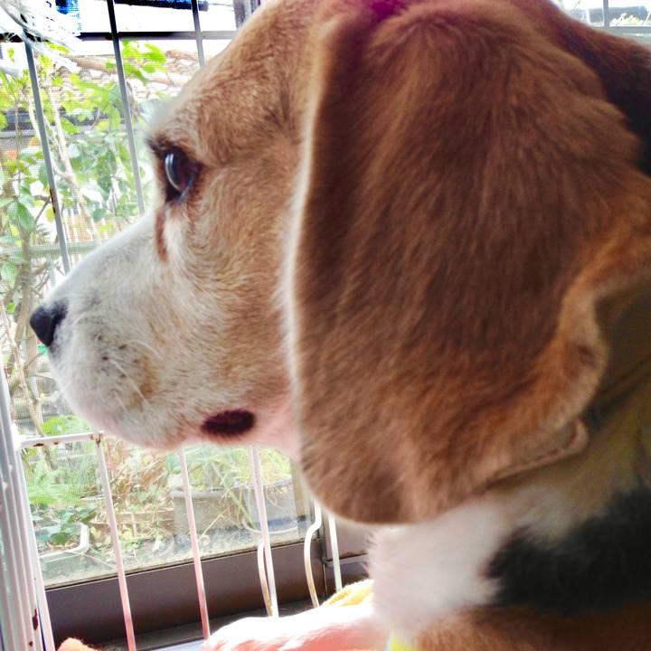 07a0b9ab b224 4e38 890d 773ed432c9df 1773402361709