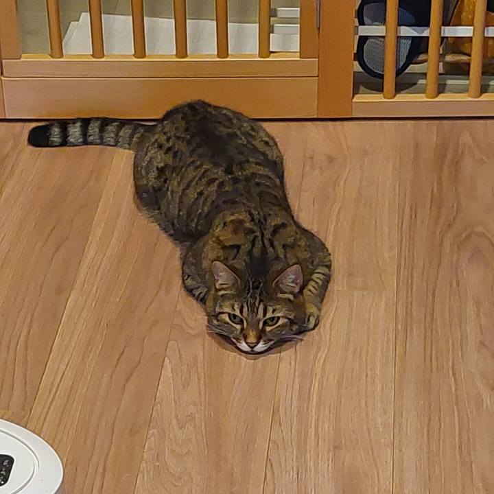 07a0e296 a865 4b1f 85ec 3a55f5558fd5 1724364079832