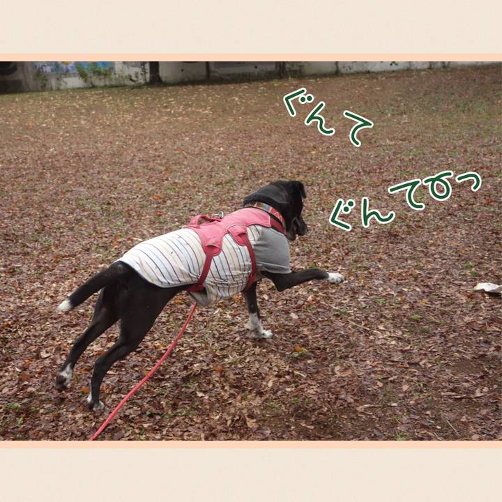 07a0fe4b 4071 4cb2 9c1a 0b1bb6699718 1701736931444