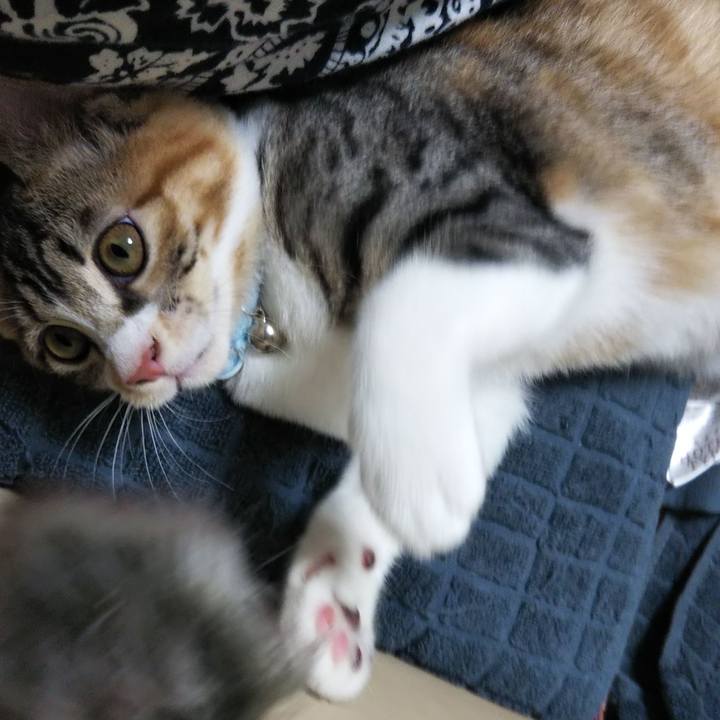 07a117aa 5220 4ef1 a512 eec673cc15de 1628241175201