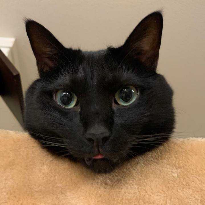 07a13605 535e 42c0 8153 5f45be827b1c 1694706358502