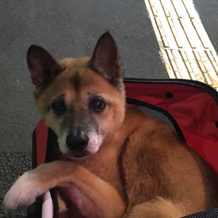 07a15c39 fb2c 42fc 9656 59366a937623 1539127354690