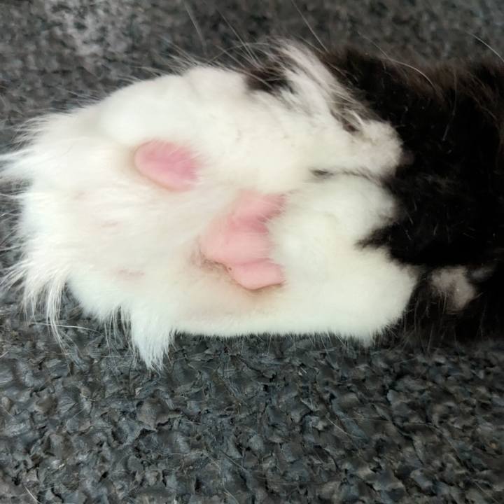 07a1609f 7d96 4d5c 9e40 bd155f07ed8a 1695874630535