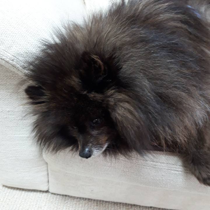 07a16e50 b229 462a 824f eff6330d094d 1519176501952