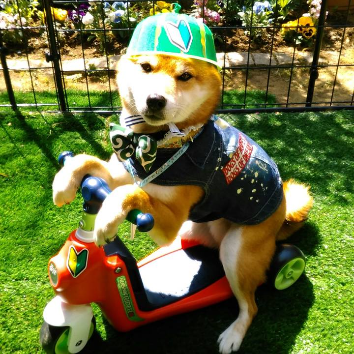 07a1a4c2 fb8f 4145 95b9 e3cfa5ae5285 1523325613538