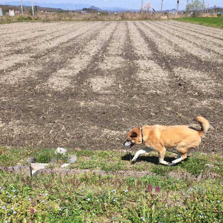 07a1cb4f 5205 437b af54 6b127ac7765d 1555134639844