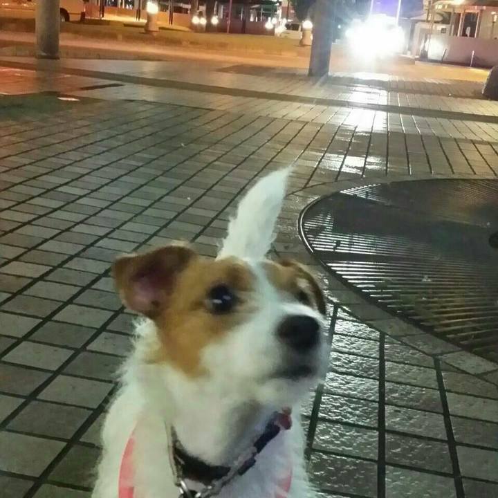 07a1e4a7 d98f 4152 81cc fcd20c4ea355 1513956261593