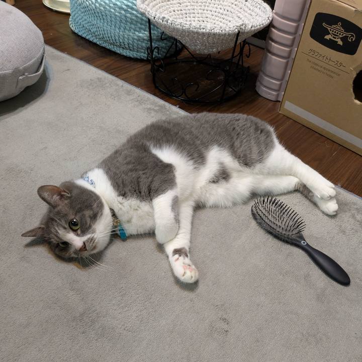 07a1ea43 52e0 4080 89bd 238939147fbc 1745537401027