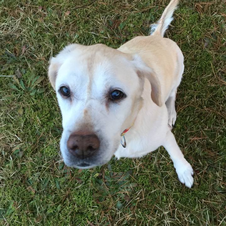 07a1f44d 57a7 421b 8d0b 752d31238d53 1514073126817