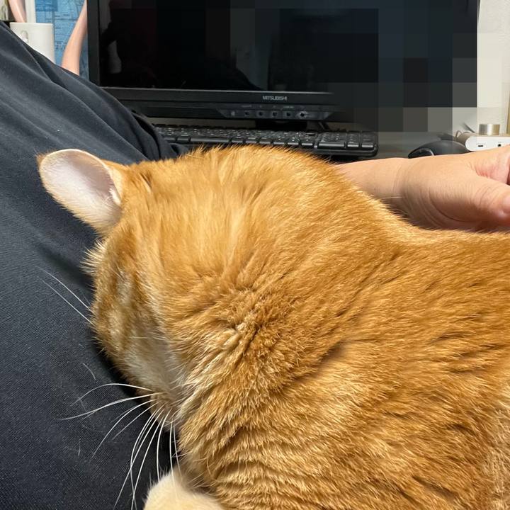 07a26a59 a4a9 478c 808a 12aae9d94699 1692830459592