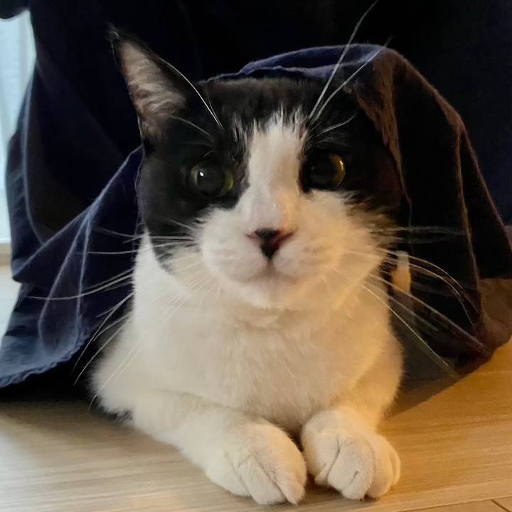 07a27af2 84ba 4782 957e 724d777242d5 1714971071887