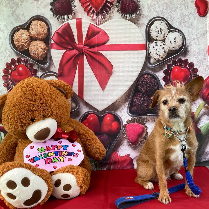 07a27f8e fd14 419e 8525 ffc622c7bc8d 1676361447243