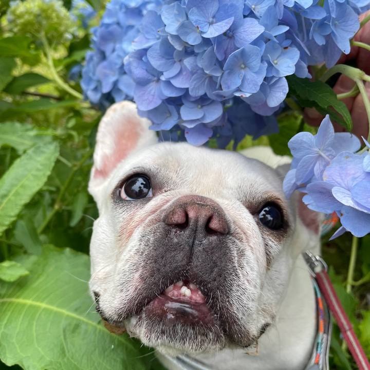 07a29c31 7604 4f38 9a04 80132d0d9dad 1749422472511