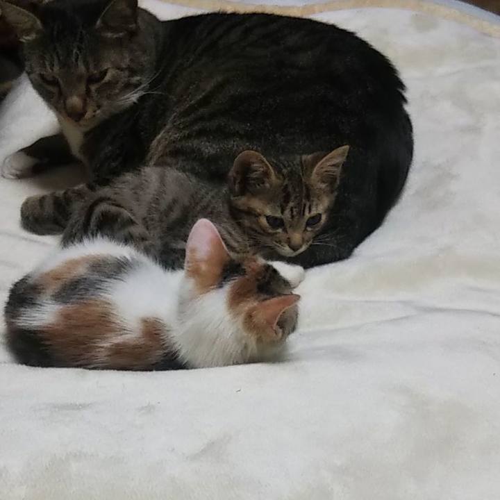 07a2bccd 702c 4065 bd8a c371a08d425a 1635154887893