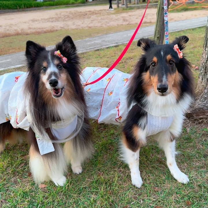 07a2e6c1 b3d7 4ae7 94df c226cad52481 1763218164951