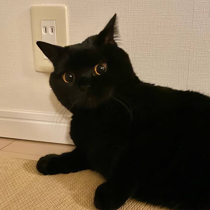 07a307fd d639 46ce 9d57 363e90394366 1639989020911