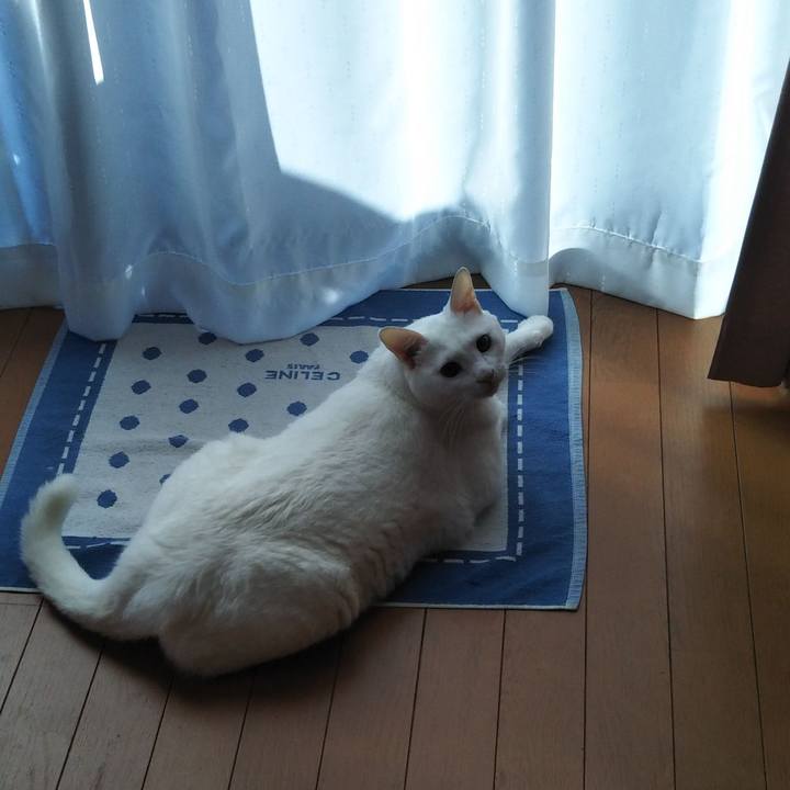 07a33400 d256 4883 bb86 b1d4cff5e38c 1570664276157