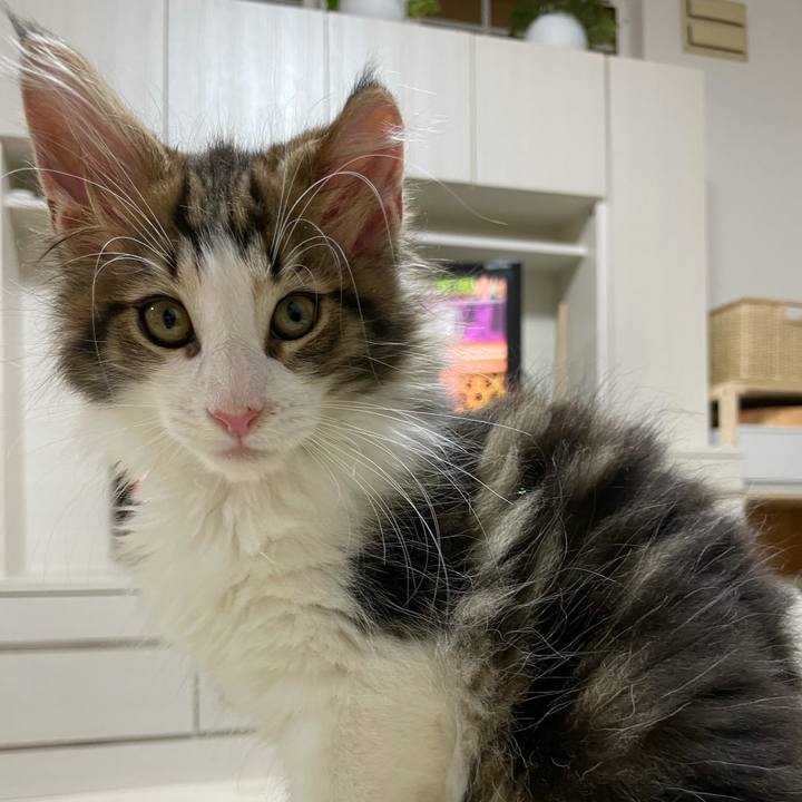 07a397ba 2775 4952 899d 82ba76e8e2de 1631954010169