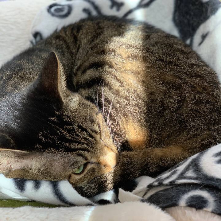 07a4078b 5bf2 438f a6ab 72284dc4235a 1575593882622