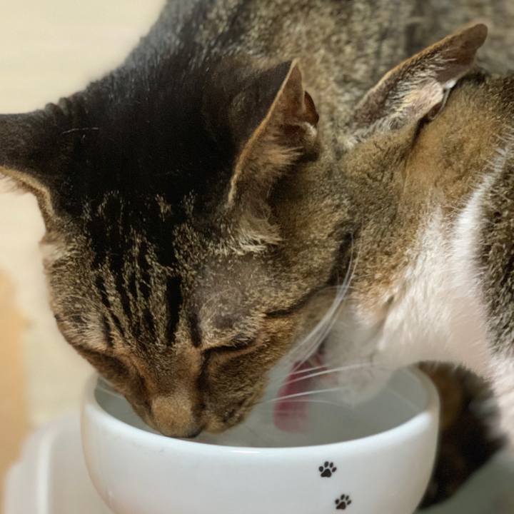 07a42e37 0d2d 4344 9957 b0288a307c86 1595120178325