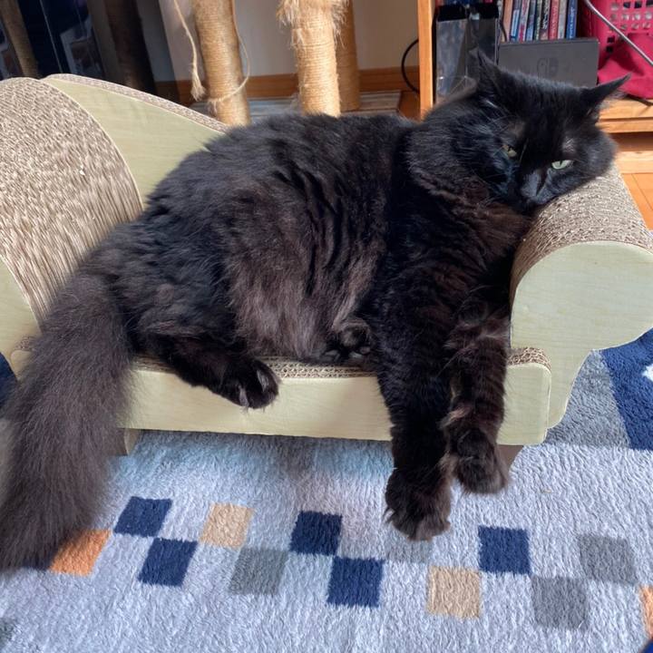 07a4417f b5a5 45d4 8a83 45fbbde4dab2 1599198074647