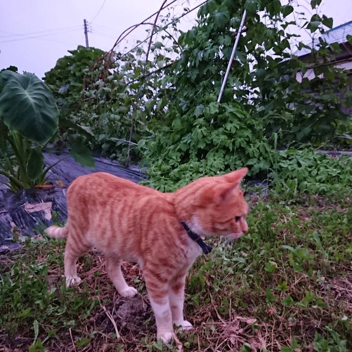 07a45f76 4432 4647 bc88 f5aae22322a9 1564481520291