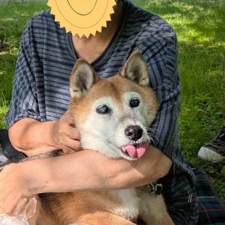 07a46dcb db1d 4530 93a5 a6364113c492 1759912509946