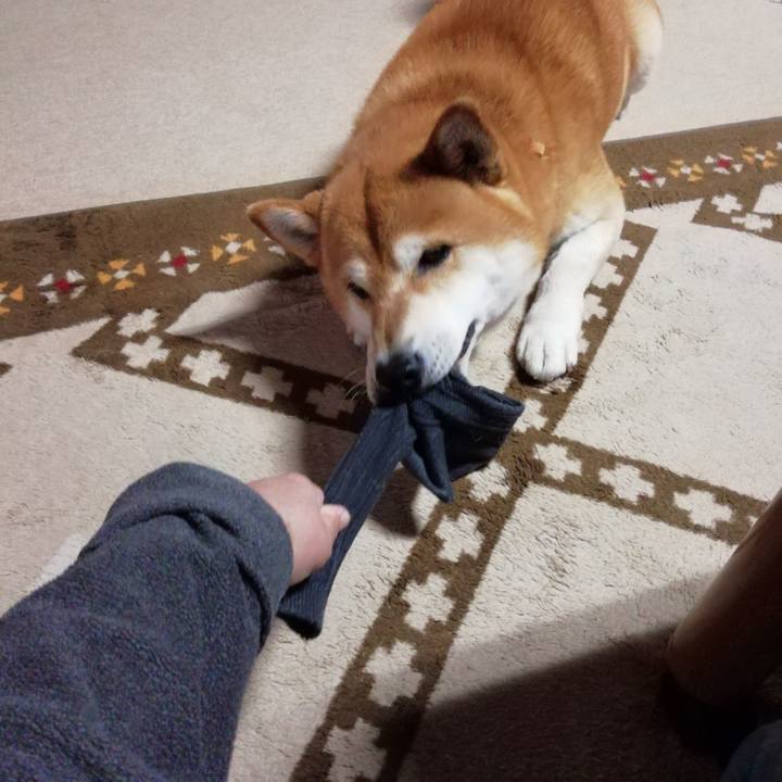 07a48206 ab43 466c a565 22b60b484851 1620092050659