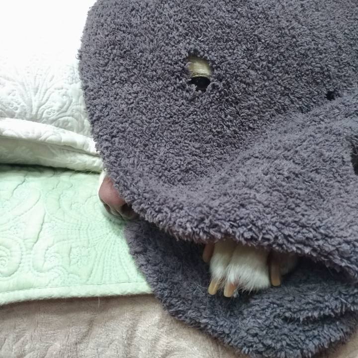 07a483c3 f3f0 42e3 b479 2e84229fb445 1617304686959