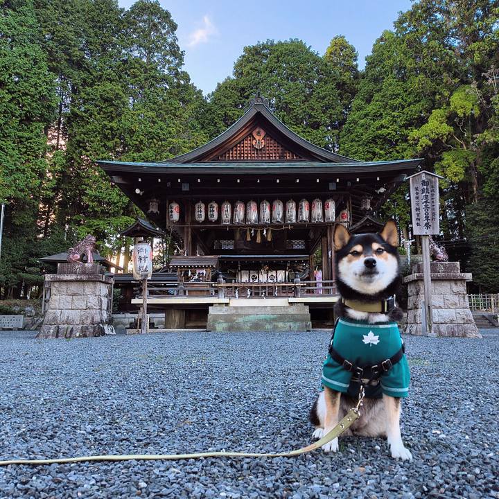 07a4e10d 58dc 41a7 9f12 d0e17209dc0b 1760190689390