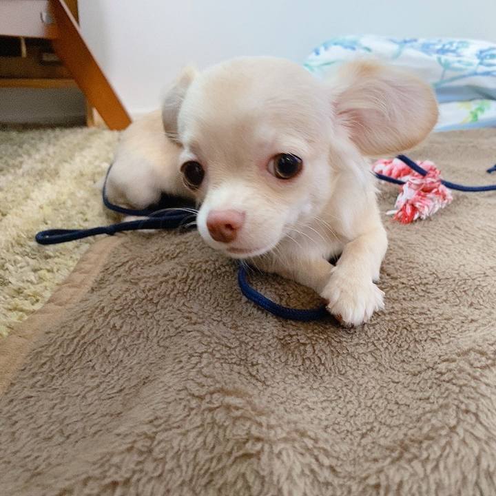 07a4e683 fb9d 4eff 82ae 2b4193859bc8 1596063394811