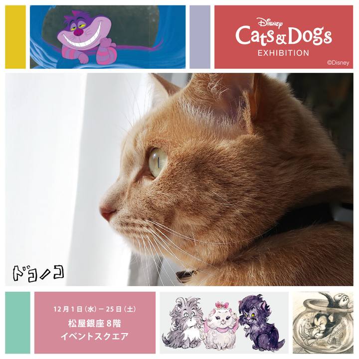 07a50bab 24fb 4ab9 8733 49201c2fd24c 1638347817237